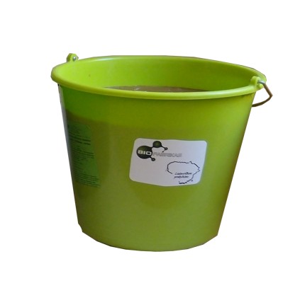 G-82E, lickable mineral vitamin feed supplement for dairy cows for organic farms