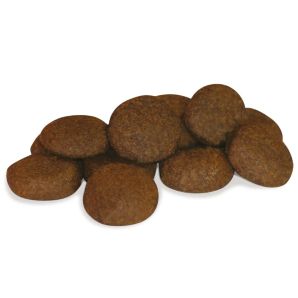 GHEDA DOG&DOG WILD REGIONAL FOREST, complete superpremium feed with game for adult dogs, 12 kg