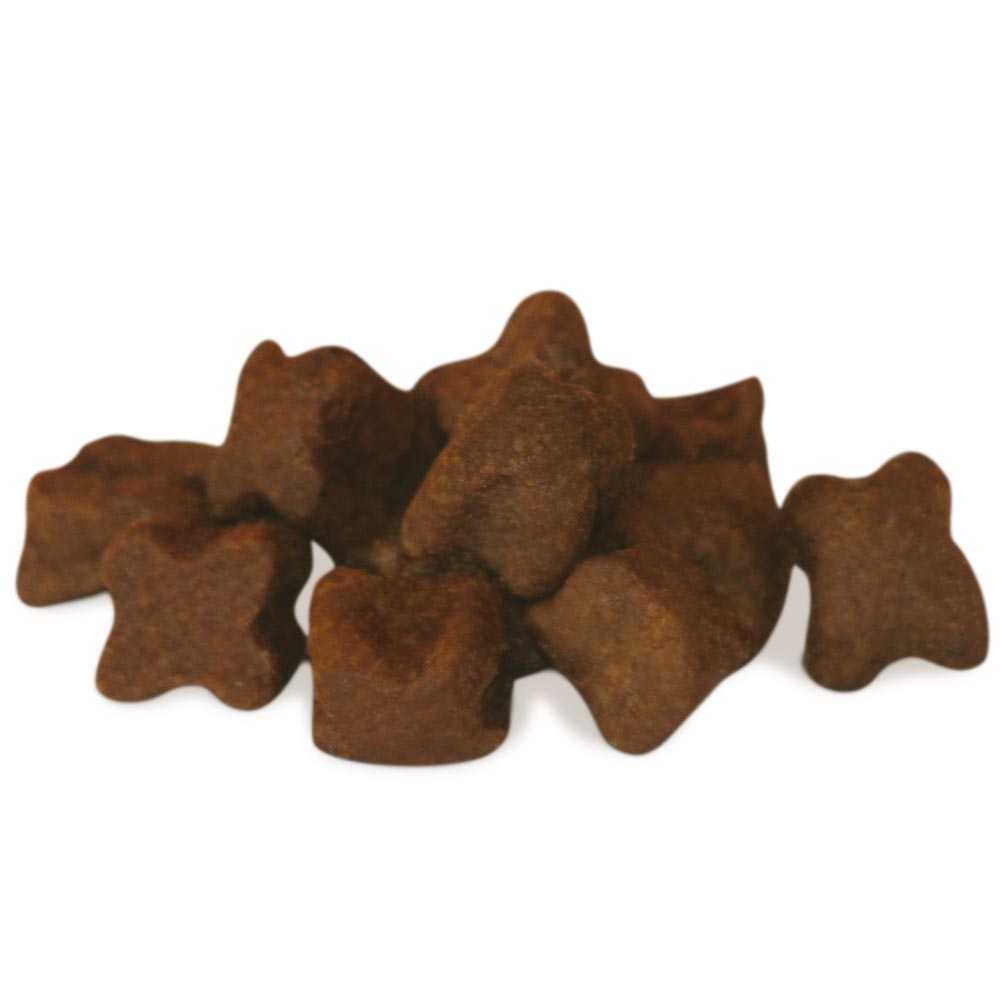 GHEDA DOG&DOG WILD REGIONAL GRASSLAND, complete super premium feed with Iberian pork for adult dogs, 12 kg