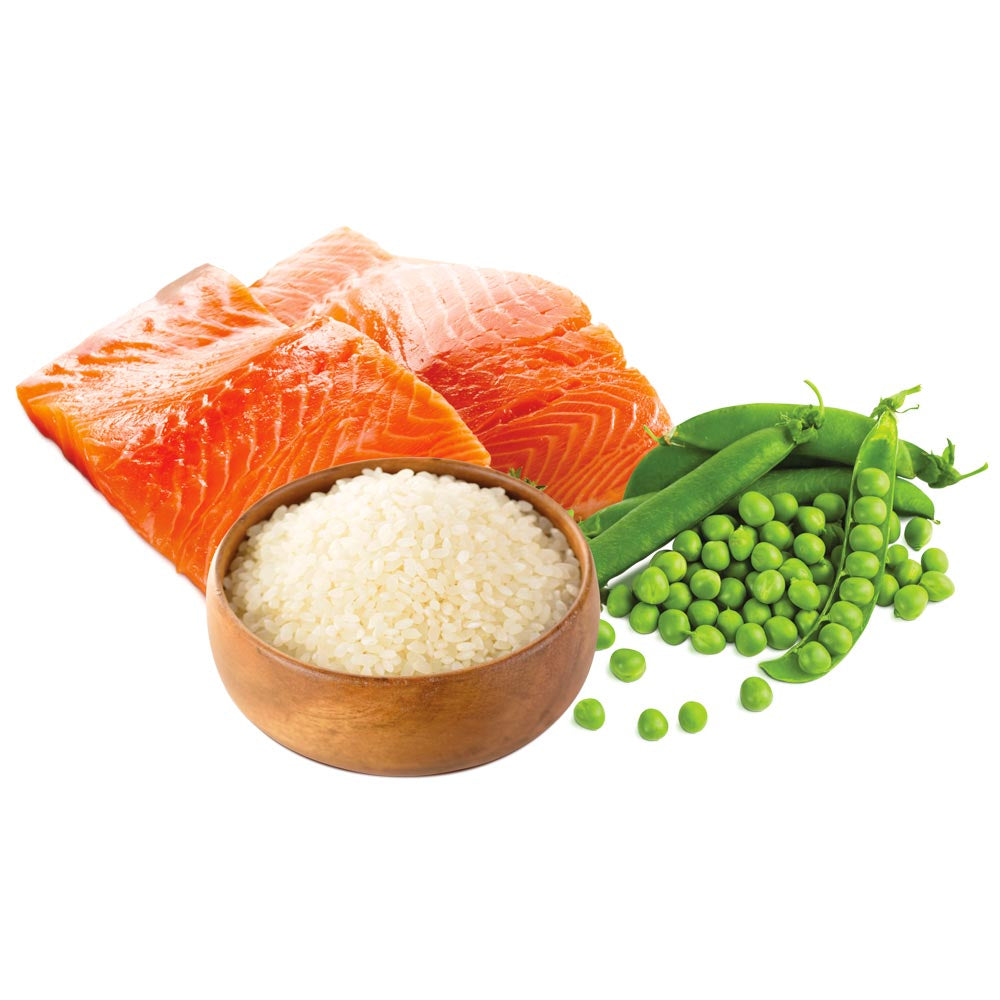 GHEDA UNICA NATURA MAXI – SALMON, RICE and PEAS, visavertis super premium pašaras su lašiša vidutinių ir didelių veislių šunims, 12 kg