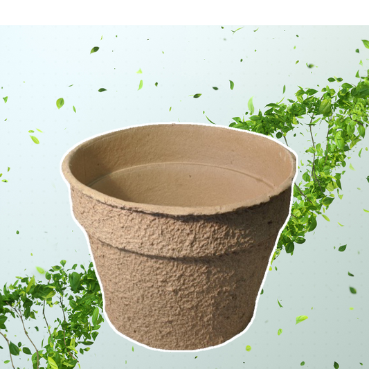 Aplinkai draugiški šėrimo indai visiems poreikiams