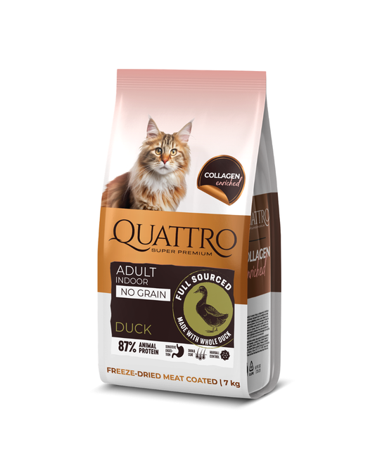 QUATTRO, visavertis sausas pašaras suaugusioms naminėms katėms su antiena, 7 kg