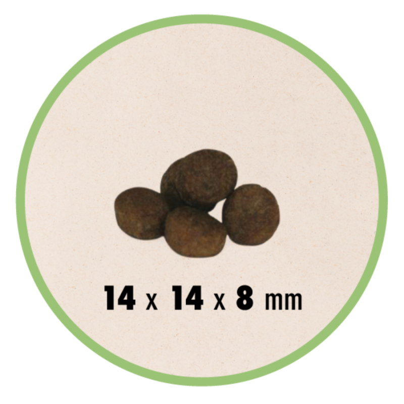 GHEDA UNICA NATURA MONO – TROUT, RICE and HORSE PEAS, visavertis super premium pašaras su upėtakiu vidutinių ir didelių veislių šunims, 12 kg
