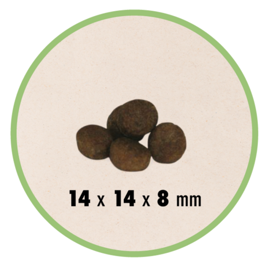 GHEDA UNICA NATURA MONO – TROUT, RICE and HORSE PEAS, visavertis super premium pašaras su upėtakiu vidutinių ir didelių veislių šunims, 12 kg